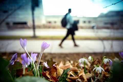 a student walks across campus in early spring