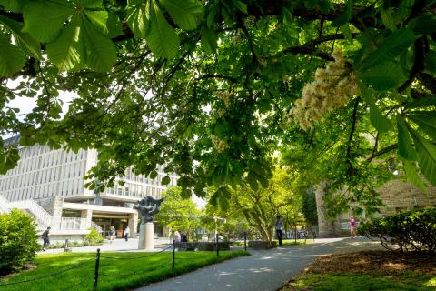 springtime at a campus library